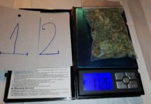 Dunakeszin kapták el a fóti drogdílert – új részletek és videó