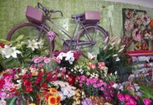 Virágosztás, koncert, tőlünk egy vers – így ünneplik Dunakeszin a nőnapot