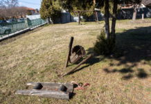 Kamerával hoznák vissza a normális életet a Rákóczi útra