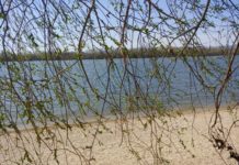 Éled a természet Dunakeszin