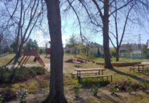 A polgármester a Roska Péter utáni nyári táborról