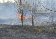 Több helyen is tűz volt a síneknél Dunakeszin
