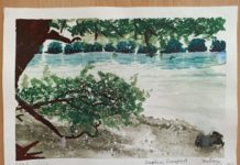 Hogy 20 év múlva is tiszta vizet ihassunk – Turbucz Eliza javaslatai