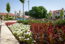 2000 fa Dunakeszin, avagy egy verseny, amelyen elindult a városunk