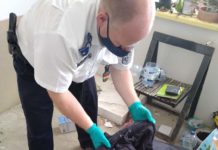 4 év börtönt kapott a gödöllői HÉV-nél erőszakolni akaró ukrajnai férfi