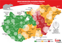 Kevés a patkány Dunakeszin