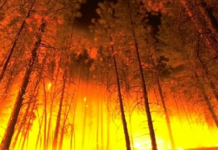 Tűzgyújtási tilalmat rendeltek el