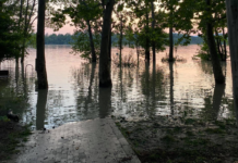 Hirtelen emelkedik a vízszint a Dunán