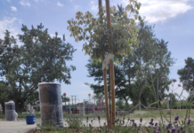 A strandnál is virágosítottak a héten