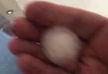 Hatalmas vihar és jégeső volt Dunakeszin