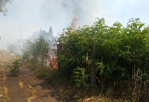 Ismét égett a vasúti töltés Dunakeszinél