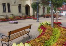 Dunakeszi a budapesti kerületekkel van versenyben a fák, virágok területén