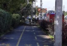 Rádőlt egy fa a Verseny utcai kerékpárútra, az áram is elment a környéken