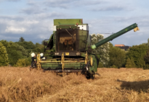 Égett egy kombájn Dunakeszi határában