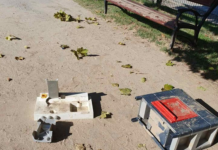 Ennek mi értelme van – kérdi a tóvárosi játszótér megcsonkítása után az alpolgármester