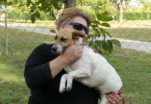 Acsai Öcsi egy hétig feküdt sérülten az árokban, sikerült megmenteni