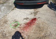 Vérfolt a ház előtt, videón, ahogy a rendőrök felszólítják a gyilkos férfit