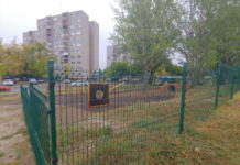 Mancs nyert, Frakk a második, róluk nevezhetik el a kutyafuttatókat