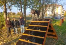 A Poston kerestünk nevet a most átadott új kutyafuttatónak