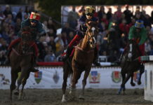 Dunakeszin készülő lovas Szabadkának nyerte meg a Nemzeti Vágtát