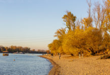 Csak szép képek, és ez sem kevés – a dunakeszi Duna-parton jártunk