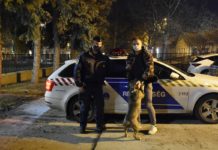 A dunakeszi rendőrök 100 kilométerről hozták vissza Jockey kutyát a gazdájának