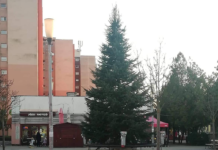 Karácsonyfát díszíteni hív a polgármester