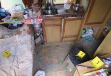 Csütörtökön kezdődik a Dunakeszin élő késelő hajléktalan tárgyalása