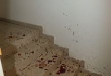 Lépett a rendőrség a 10 hónappal ezelőtti fóti brutális gyilkosság ügyében