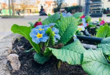 200 ezer forint értékű nyereményt kapott Dunakeszi