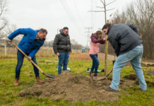 Újabb 400 fa érkezett Dunakeszi zöldesítésére, egyet elültettek belőle a Katonadombnál