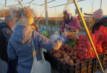 Kivételesen máshol lesz a pénteki kispiac
