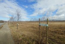 Új erdőt hoznak létre Dunakeszi északi részén a diáknegyednél