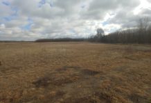 Fontos környezetvédelmi döntés a dupla gimnáziumoknál