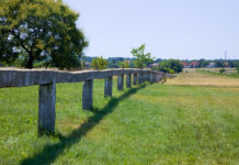 Befogták a Dunakeszin elszabadult versenylovat, olvasónk elmesélte a történetét