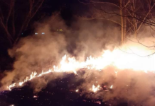 Égett az aljnövényzet a 2-es út közelében, nem messze a Burger Kingtől