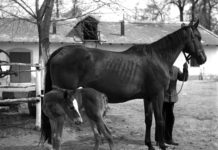 Jó sport a lósport, az alagi pálya létrehozójára emlékeztek