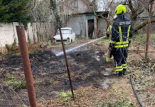 Feloldották a tűzgyújtási tilalmat Pest megyében, a dunakeszi gyújtogató megúszhatja a kártérítést
