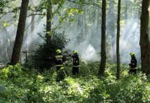 Lángolt a dunakeszi Duna-part