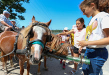 A dunakeszi városi tábor megtelt, csapjon le az utolsó balatoni helyekre