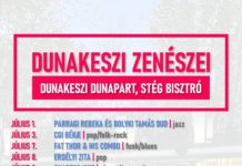 Idén a FISSZ FESZT helyett Dunakeszi Zenészei lesznek a Duna-parton