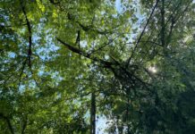 A viharos szél nem kímélte a tűzoltókat