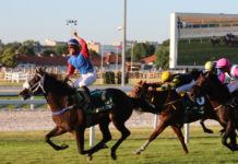 Alagi győzelem a 100. Magyar Derbyn