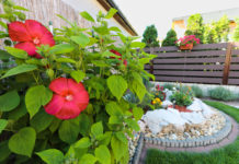 Szép az udvara, vagy meseszép az erkélye? Pályázzon!