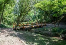 Négy sikeres pályázat – Újabb zöldfejlesztések jönnek Dunakeszin