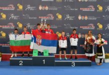 VSD tollaslabda-sikerek a nemzetközi mezőnyben