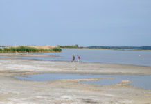 Fürdési tilalom a Velencei-tónál, rekordalacsony vízállás Forrás: MTI