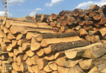 Elindult a hatósági áras tűzifarendelés