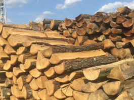 Kiegészítő tűzifa-támogatást igényelhet