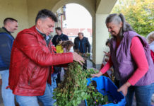 Elkapkodták az ingyenvirágokat